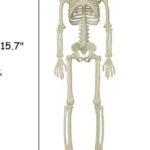 COYOAL Halloween Skeletons Decorations – 16″ Full Body Realistic Faux Human Skeleton with Movable Joints, Halloween Decor for Outdoor Inoddr Haunted House Graveyard