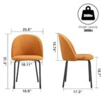 ATSNOW Orange Upholstered Dining Chairs Black Metal Legs, Mid Century Modern Armless Accent Side Chairs for Living Room Vanity Set of 2